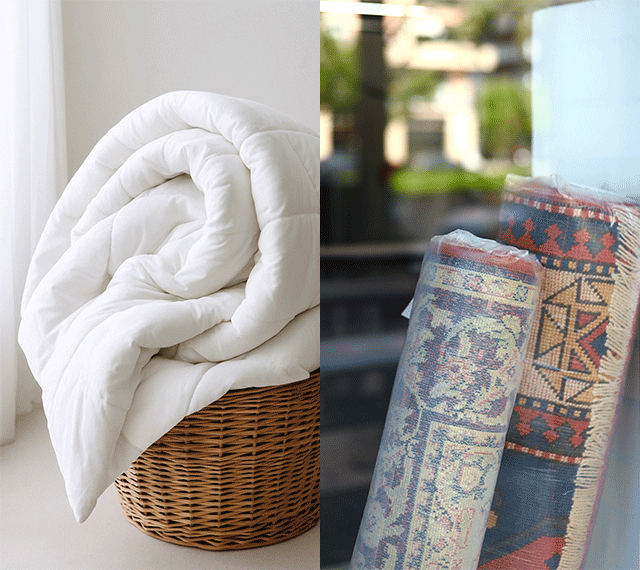 Servicios profesionales de limpieza y tintorería